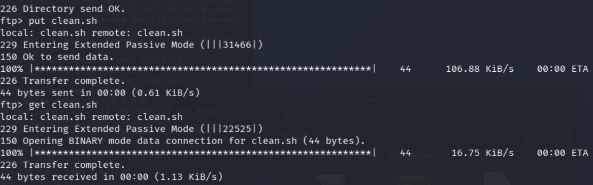 Subida de script malicioso por FTP