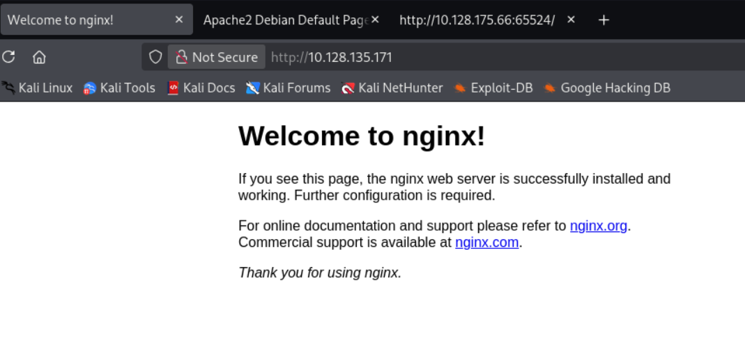 Página de Nginx en puerto 80