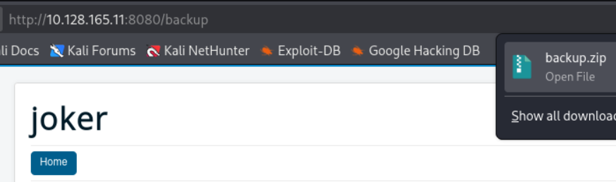 Descarga de backup.zip